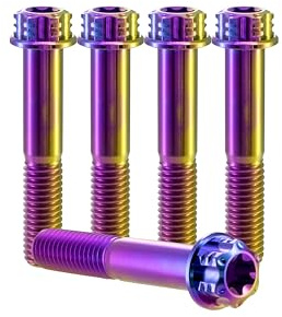 RISON-Titanium Titanschrauben M8x1.25x25mm, 5 Stück Flanschschraube Torx Kopf Flansch Schrauben Sechskantschrauben Gewindeschrauben GR5 Titanbolzen Befestigungen für Motorräder Fahrrad Auto