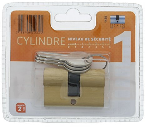 Bricard 1439 Cilindro Pratic 25 + 25 ottone, doppio ingresso, livello di sicurezza 1, 3 chiavi, garanzia 2 anni, resistenza alla corrosione
