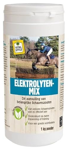 VITALstyle Elektrolyten Mix 1 KG Poeder
