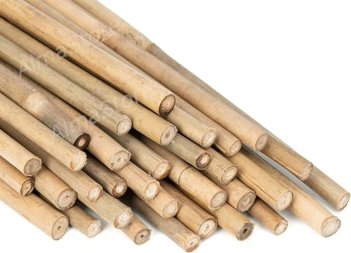 Canne di Bambu' h.120cm Ø20-22mm 25 Pezzi - Resistenti Naturali - Per Sostegno Ortaggi e Piante o Arredamento di design - Ideali per Pomodori e Rampicanti - Canna di Bamboo per Orto