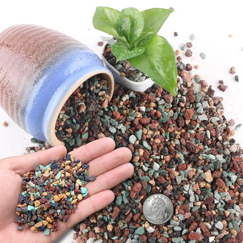 CHEOAR 1,4 kg (3 lb) blandade lavastenar för växter i dörr – 3–6 mm stenar trädgård för bonsai saftig kaktus krukor botten och vas fyllmedel, fe trädgårdsarbete, toppdressing
