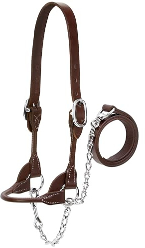 Weaver Leather Livestock Dairy/Beef Rounded Show Halter, Medium, Brown
