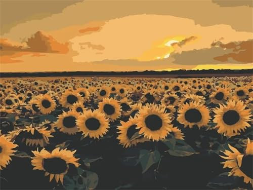 Cekog Sonnenblumenfeld Malen nach Zahlen Erwachsene DIY Handgemalt Ölgemälde Malerei auf Leinwand Kinder Anfänger Malsets mit Pinseln Acrylic Paint by Numbers Kits Haus Wand Decor 45x60cm,mit Rahmen