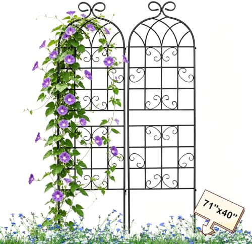Lorenzo 71 x 40 Inch Rustic Iron Garden Trellis for Climbing Plants Outdoor, Black Metal Arch Decoration Plant Supporting Perfect for Roses Flower Cucumbers Courtyards Lawns Clematis
