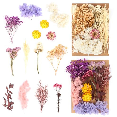 MXTIMWAN 2 Stück Getrocknete Blumen, Natürliche, Echte, Trockenblumen Klein Mini, DIY Gemischte Getrocknete Blumen für Basteln, DIY Harz, Scrapbooking Handwerk, Karten Machen