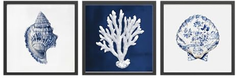 STYLER Bilder Set Sea Treasures 3x 30x30 cm (AUFHÄNGFERTIG) mit hochwertigem Rahmen – Exklusive maritime Kunst für Ihr Zuhause – Blau Weiß Natur Muschel Koralle