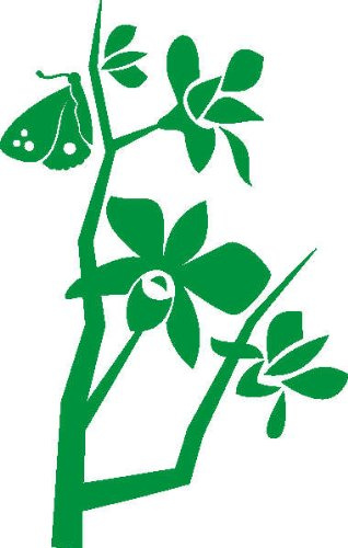 Sticker mural Pema d416 orchidées et papillons 40x25 cm - vert