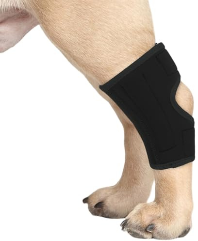 1 Pièce Protège-Poignets de Jambe Chien, Genou Genouillère Soutien Chien Arrière Patte Avant Jarret Articulé Protège pour La Protection Contre Les Blessures Et L'entorse(Noir, L)