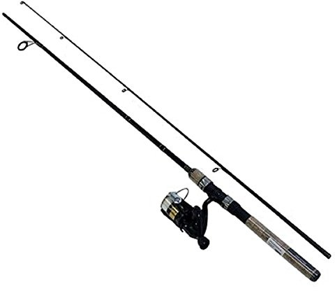Daiwa D-Shock DSK FW Spin PMC, 6'/Medium Light, Black/Gold