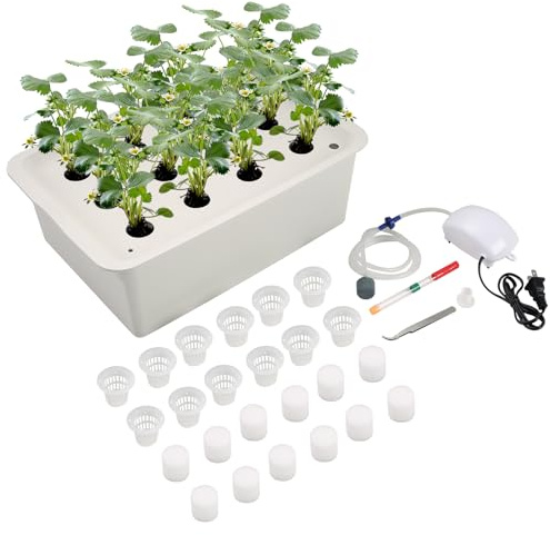 NATGAI Hydrokultursystem Anzuchtset mit Luftpumpe 12 Löcher Bodenlose Anzucht Grow Box Garten Schrank Box für Kräuter, Salat, Gemüse