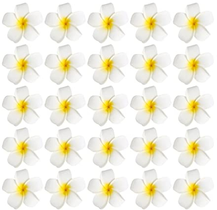 VOSAREA 25 Stücke Plumeria Haarschmuck: Hawaii Blumen Haarspangen - Frauen Haarklammer Blumen Frangipani Hawaiian Plumeria Haarschmuck Haarspangen für Hochzeit DIY Girlande Sommer