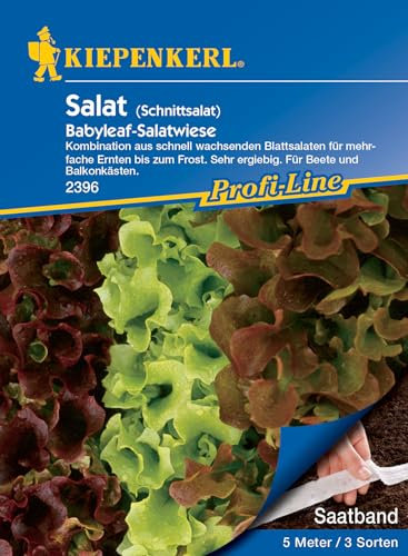 Kiepenkerl Profi-Line Schnittsalatsamen Babyleaf Mischung, Saatband 2396 – Ergiebige Gemüsesamen für Beet & Kasten, Einfache Aussaat, Mehrfachernte bis Frost