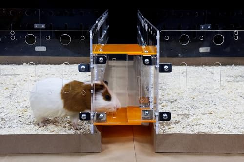 GuineaLoft™ Cage Connector V2 - Connects Guinea Pig Cages Through Corridors