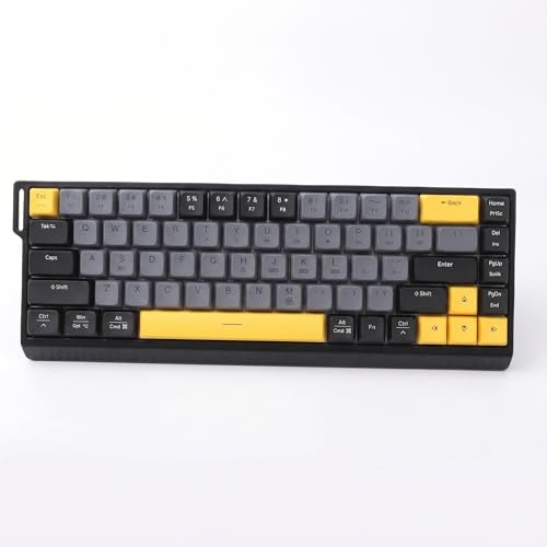 Zunate Clavier de Jeu 65%, Clavier Filaire USB C avec 68 Touches et Rétroéclairage RVB, Anti-Ghosting sans Conflit pour Ordinateur Portable (Gris Noir)