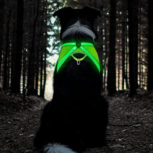 TRIPOLACO Hundegeschirr Leuchtend Aufladbar, Reflektierend Hunde Geschirr, Atmungsaktiv Beleuchtete Brustgeschirr für Kleine Mittlere Große Hunde, M