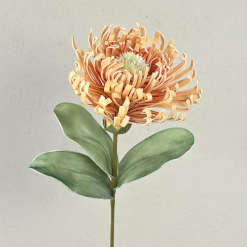 artplants.de Künstliches Nadelkissen Protea ISLARTINA, Creme-Aprikose, 75cm | Schaumstoff Protea