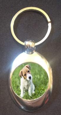 DottsMusic Jack Russell Dog - Cute Pet Design on Shopping Trolley Keyring - Token (£1 Coin)