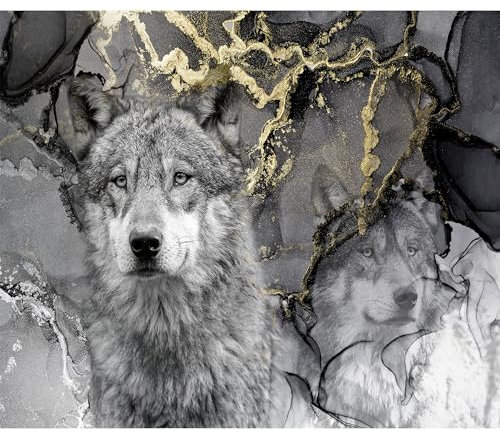 murando Fototapete Wolf 350x256 cm Vlies Tapeten Wandtapete XXL Moderne Wanddeko Design Wand Dekoration Wohnzimmer Schlafzimmer Büro Tiere Gesicht schwarz grau g-C-10063-a-a