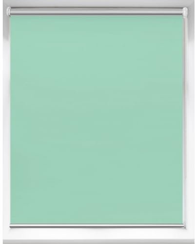 Verdunkelungsrollo Ohne Bohren 45 x 90 cm Blickdicht Sichtschutz Fensterrollo Rollo Rollade Rollo inkl Montagematerial für Fenster und Tür, Zart Grün