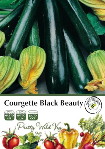 Courgette Black Beauty Seeds in Pictorial Packet - 20 Seeds