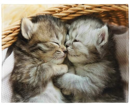 YISUMEI Decke 150x200 cm Kuscheldecken Sanft Flanell Weich Fleecedecke Bettüberwurf EIN Paar Süße Katzen