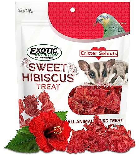 Exotic Nutrition Sweet Hibiscus Treat 3 Pack (5.25 oz)- Healthy Dried Flower Omnivore Treat - Chinchillas, Guinea Pigs, Rabbits, Prairie Dogs, Degus, Hamsters, Rats, Squirrels, & Other Small Pets…