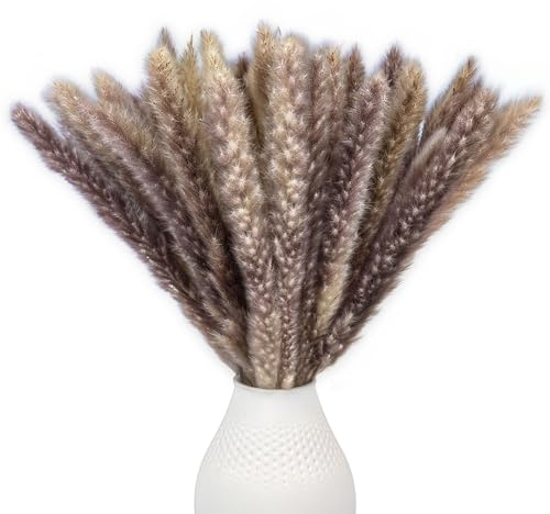 Nina-Maria's Deko Gold – Hierba Marrón de Pampas, 15 Piezas de 45 cm – Flores secas Decorativas para salón y Pasillo – Ramo Boho para jarrón – Flores Artificiales