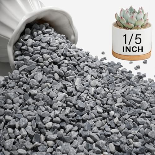 NUPICK 6 Pound Grey Succulent Rocks, 1/5 Inch Small Pebbles for Indoor Plants, Natural Pea Gravel for Landscaping, Decorative River Stones for Bamboo, Cactus, Vases, Garden, Aquariums