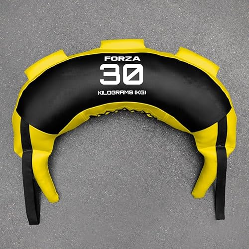 METIS Bulgarian Bag - 5kg bis 20kg | Crossfit Equipment und Krafttraining - Trainingsgerät für Fitnesscenter und Zuhause (30kg)