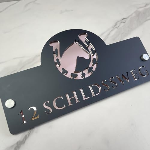Targa personalizzata con numero civico in acrilico con taglio laser - Targa per porta equestre personalizzata con testa di cavallo e ferro di cavallo, cartello per indirizzo da cortile stabile