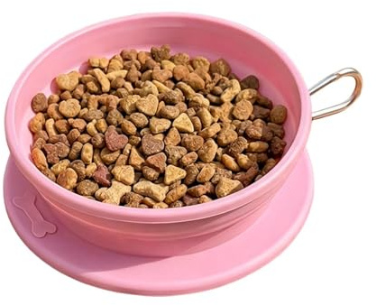 Fällbar skål för husdjur, vätskedrickare matskål – vikbar skål för resor, för små medelstora djur promenad picknick park camping vandring