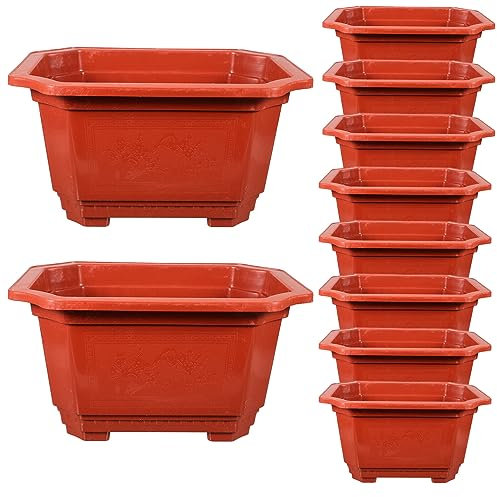 Cabilock 10stücke Bonsai Topf Aus Kunststoff Für Innenbereich Und Zuhause Pflanztopf Für Sukkulenten Und Kleine Pflanzen Blumentopf Für Garten Und Balkon Robuster Und Leichter