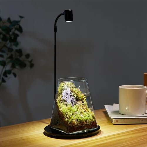 Mini terrario de cristal para plantas con luz de 4.1 x 5.9 pulgadas, maceta de aire suculenta, helecho, musgo, micropaisaje, jarrón para decoración de mesa, contenedor de interior Wardian Copyright