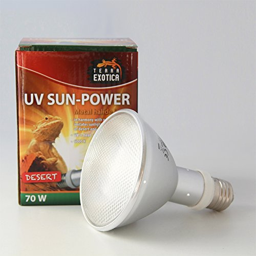 Terra Exotica UV Sun-Power Desert Metalldampflampe 35Watt, 50Watt oder 70 Watt – Terrarium UVB & Wärmestrahler | Intensives Tageslicht & hoher UVB-Anteil für Wüstenreptilien (70, Watt)