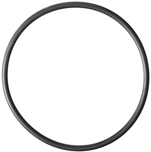 Hayward OEM SPX3200S O-Ring Strainer Cover Replacement for Hayward Tristar and Ecostar Pump