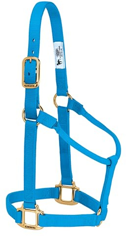 Weaver Leather Original Halfter, Nicht verstellbar, Blau (Hurricane Blue), Durchschnittspferd/Jährlingszugpferd