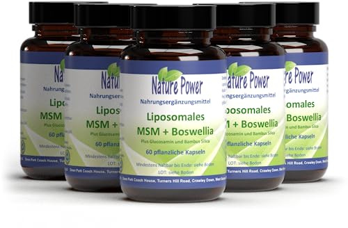 Liposomales MSM + Boswellia | Vorteilspaket 4 + 1 | Pulver in Kapseln | Maximale Bioverfügbarkeit | Lange Haltbarkeit | von NATURE POWER