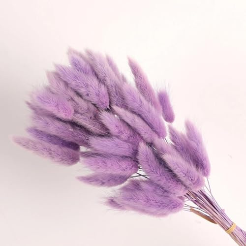 FOSANGPUSHI Bunny Tails Getrocknete Blumen,60 Stück 45 cm Hasenschwanz-Trockenblumen für Zuhause, Vasendekoration, natürliches trockenes Pampas-Kaninchenschwanzgras, Hochzeitsarrangement, Lila