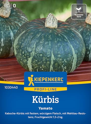 Kiepenkerl Kürbissamen Yamato 1030440, Gemüsesaat | Feste Sorte, würziges Fleisch, Früchte 1,5-2 kg, Durchmesser 20-30 cm, für Beet, Freiland & Topf
