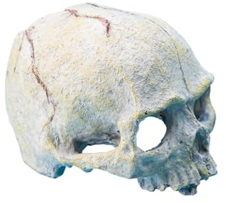 LLHCF Reptilien-Aquarium-Dekoration, Kunstharz, Totenkopf-Kopf, Aquarien, Terrarien, Versteck, Zubehör für Bartagamen und Schlange