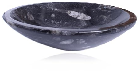 Budawi® Orthoceras Fossilien Schale Ø 11 cm – Handgearbeitet aus Naturstein & urzeitlichem Fossilgestein – Dekoschale & Lebensmittelschale