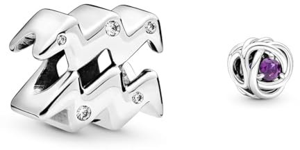 Pandora Charm Sternzeichen Wassermann 798415C01 & Februar Geburtsstein Violetter Ewigkeitskreis Charm aus Sterling-Silber mit Kristallen, 790065C02