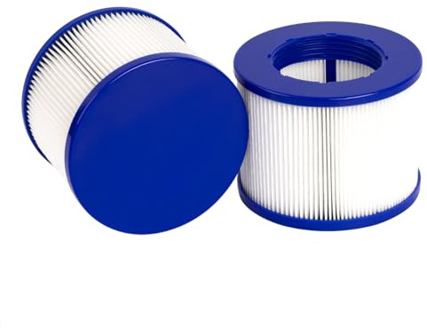 YanBan 2 Stück Typ VI Filter-Ersatz, kompatibel mit GYMAX SPA, für die meisten Whirlpools, aufblasbare Schwimmbadfilter