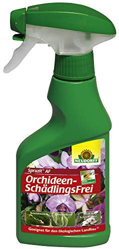 NEUDORFF - Spruzit AF Orchideen SchädlingsFrei - 250 ml