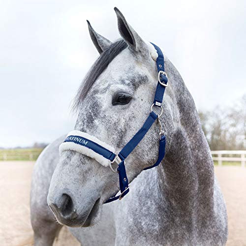 HORZE Pferde Halfter Howard aus Fleece, Halfter für Pferde und Pony, verstellbar, Blau, F