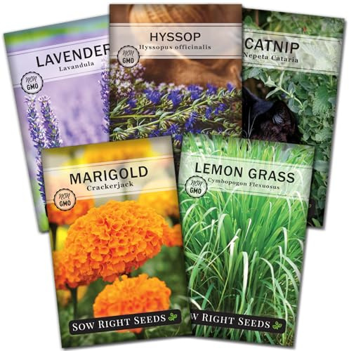 Sow Right Seeds - Insect & Pest Repellent Seed Collection for Planting - Lavender, Catnip, Marigold, Hyssop & Lemon Grass - 5 Packets with Instructions for Home Garden - Natural Pest Solution