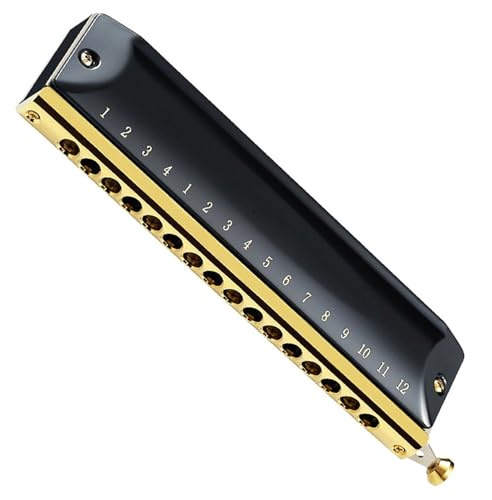 Chromatische Mundharmonika 16 Löcher 64 Töne C-Tonart Professionelles Leistungsinstrument Für Anfänger Und Schüler(Black)