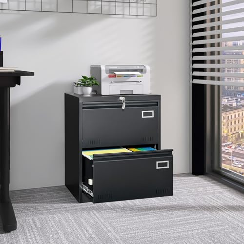 PUGSDRLY Armoire Bureau avec 2 Tiroirs pour Dossiers légaux/Lettres/A4,Caisson Bureau Mobiles avec Rangement,Armoire Metallique,Classeur Polyvalent (Noir-D)