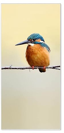 banjado® Magnettafel 37 x 78cm / Magnetwand aus Metall/Magnetpinnwand als Memoboard/Pinnwand Magnettafel Küche, Büro, Kinderzimmer inkl. 4 Magnete & Montageset - Motiv Pause