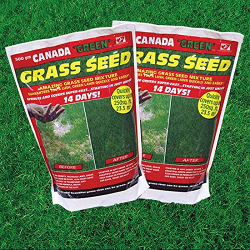 Canada Green Two Packs of 500g Grass Seed Coverage Up To 47 Sq Metres Drought Resistant Hardwearing